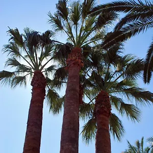 Les Palmeres Platja d'Aro (Playa de Aro)